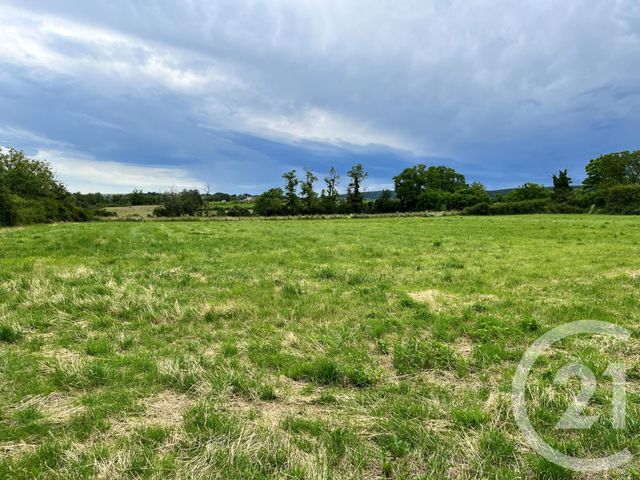 terrain à vendre - 9542.0 m2 - TANNAY - 58 - BOURGOGNE - Century 21 Agence Ducreux